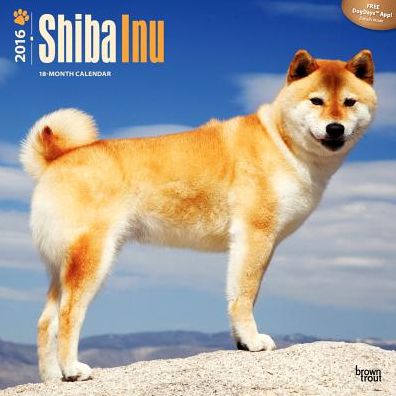 2016 Shiba Inu Square 12x12 Wall Calendar