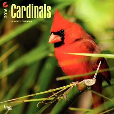 2016 Cardinals Square 12x12 Wall Calendar