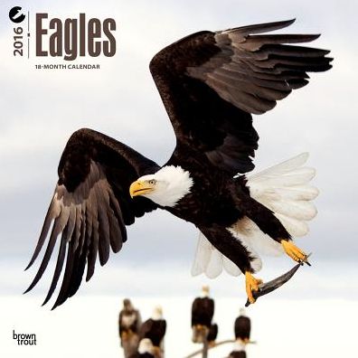 2016 Eagles Square 12x12 Wall Calendar