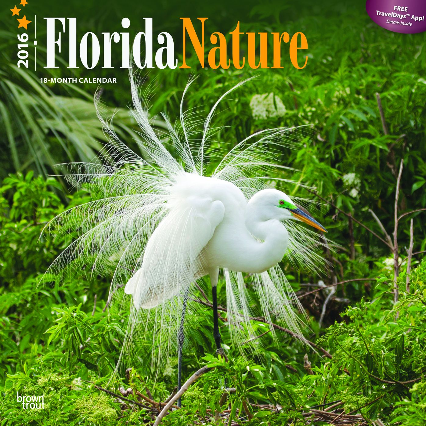 2016 Florida Nature Square 12x12 Wall Calendar