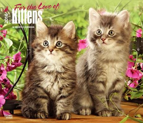 2016 Kittens, For the Love of Deluxe Wall Calendar
