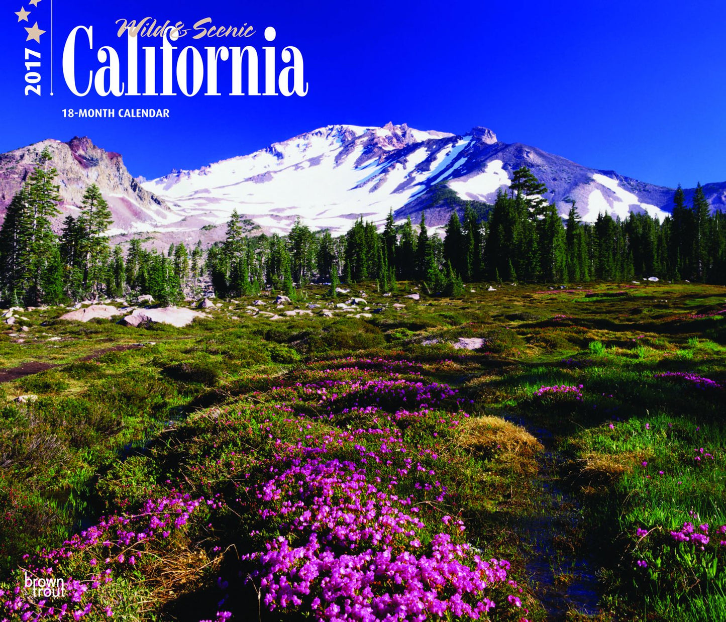2017 California, Wild & Scenic Deluxe Wall Calendar