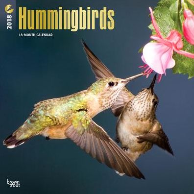 2018 Hummingbirds 2018 Square FOIL