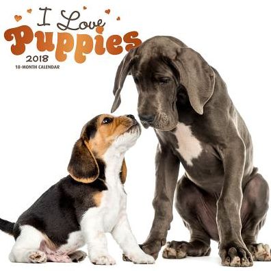 2018 Puppies, I Love 2018 Square FOIL