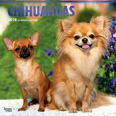 2018 Chihuahuas 2018 Square FOIL
