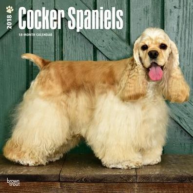 2018 Cocker Spaniels 2018 Square