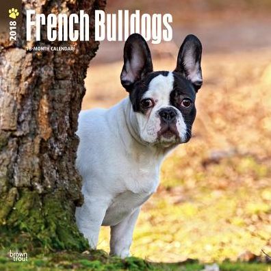 2018 French Bulldogs 2018 Square