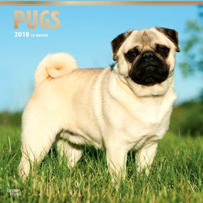 2018 Pugs 2018 Square FOIL