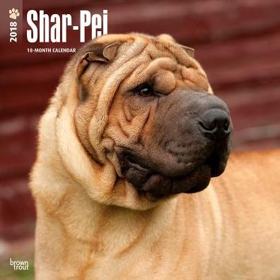 2018 Shar Pei 2018 Square