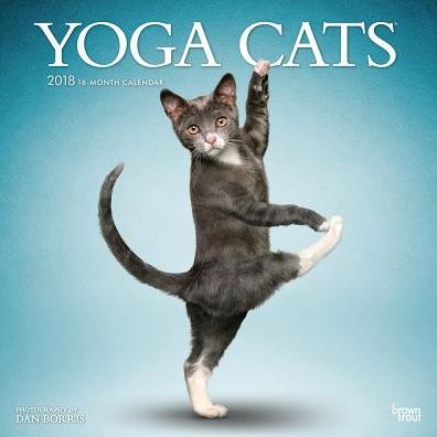 2018 Yoga Cats Square Wall Calendar