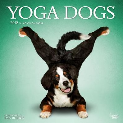 2018 Yoga Dogs Wall Calendar