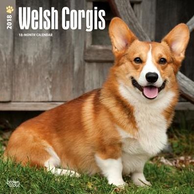 2018 Welsh Corgis 2018 Square
