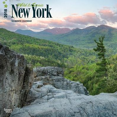 2018 New York, Wild & Scenic Square 12x12