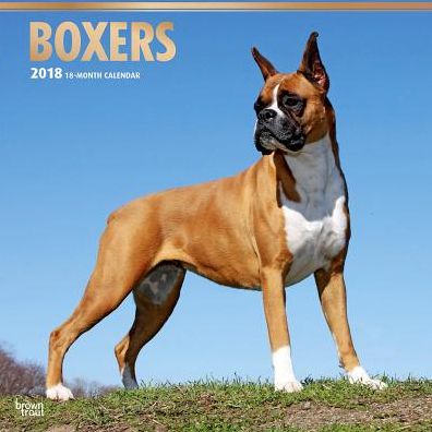 2018 Boxers 2018 Square FOIL