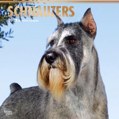 2018 Schnauzers 2018 Square FOIL