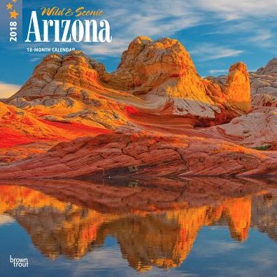 2018 Arizona, Wild & Scenic Square 12x12