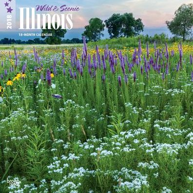 2018 Illinois, Wild & Scenic Square 12x12