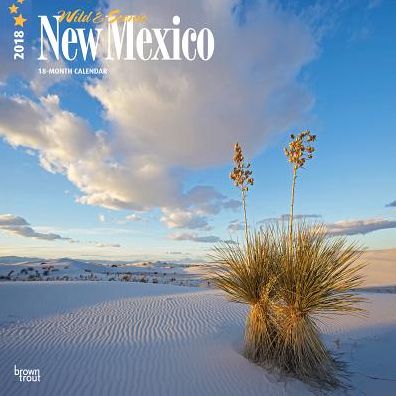 2018 New Mexico, Wild & Scenic Square 12x12