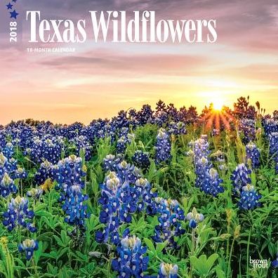 2018 Texas Wildflowers 2018 Square