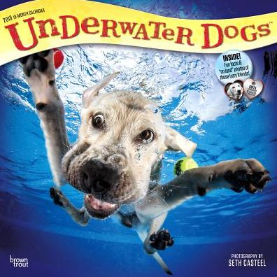 2018 Underwater Dogs Wall Calendar
