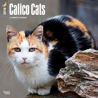 2018 Calico Cats 2018 Square