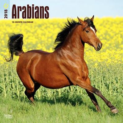 2018 Arabians 2018 Square