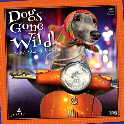 2018 Avanti Dogs Gone Wild 2018 Square