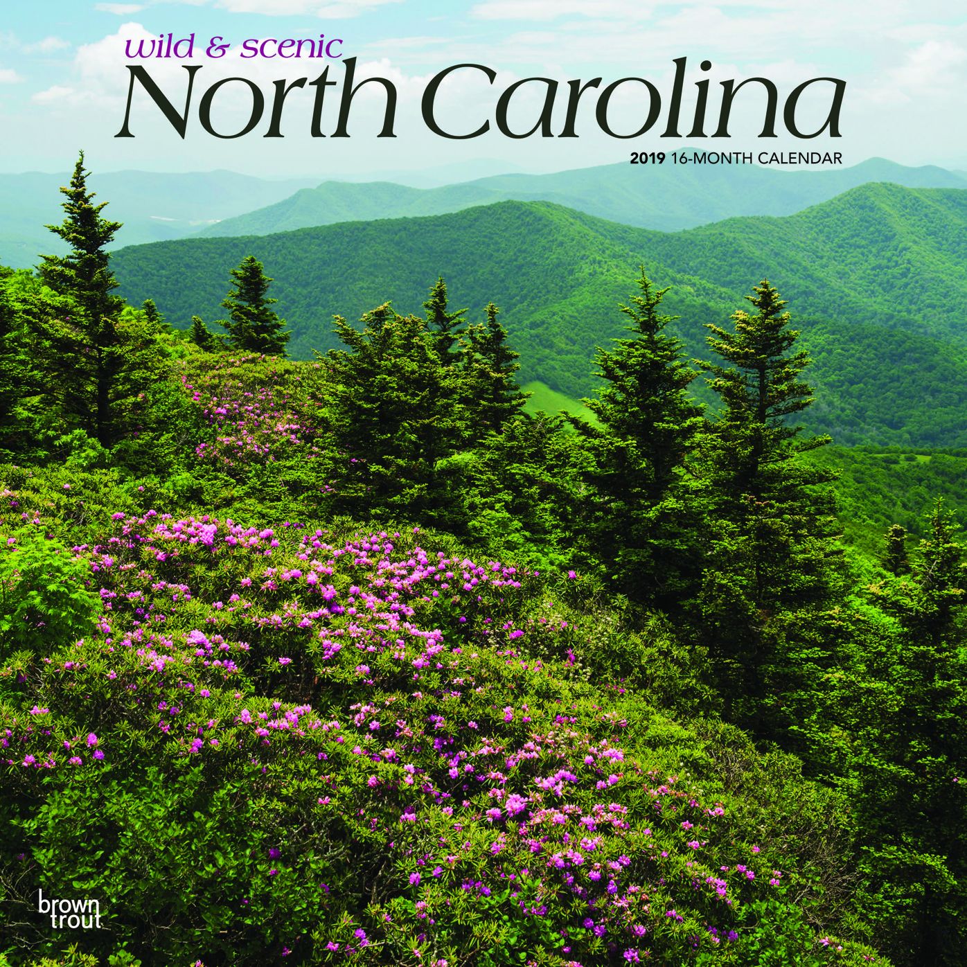 North Carolina Wild Scenic 2019 Square