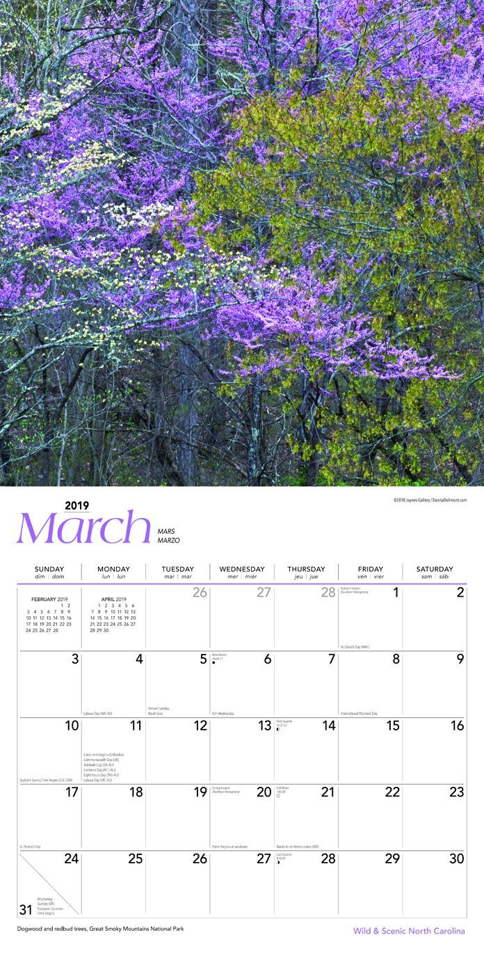 North Carolina Wild Scenic 2019 Square