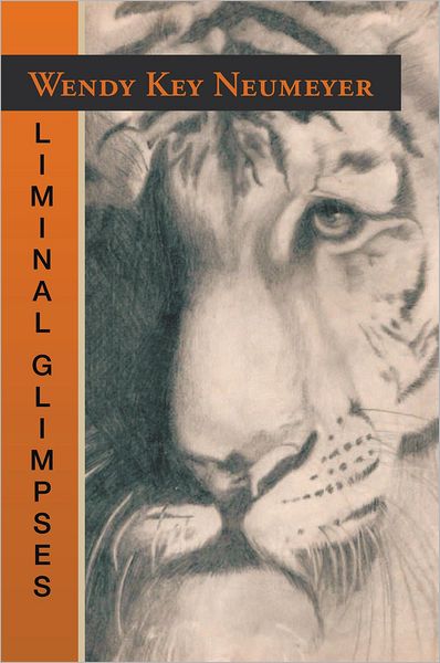 Liminal Glimpses