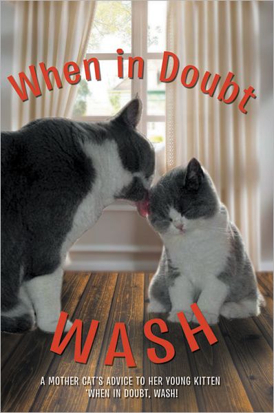 When in Doubt Wash: A Mother Cat's Advise to Her Young Kitten