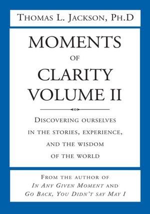 Moments of Clarity, Volume II