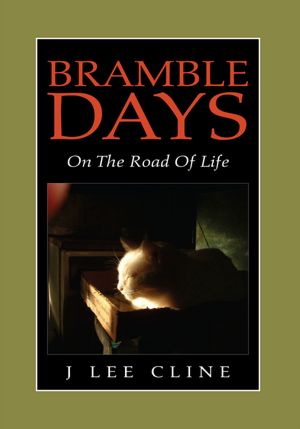 <!--3-->Bramble Days - On The Road Of Life: On The Road Of Life