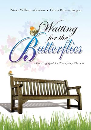 Waiting for the Butterflies: -Finding God in Everyday Places-