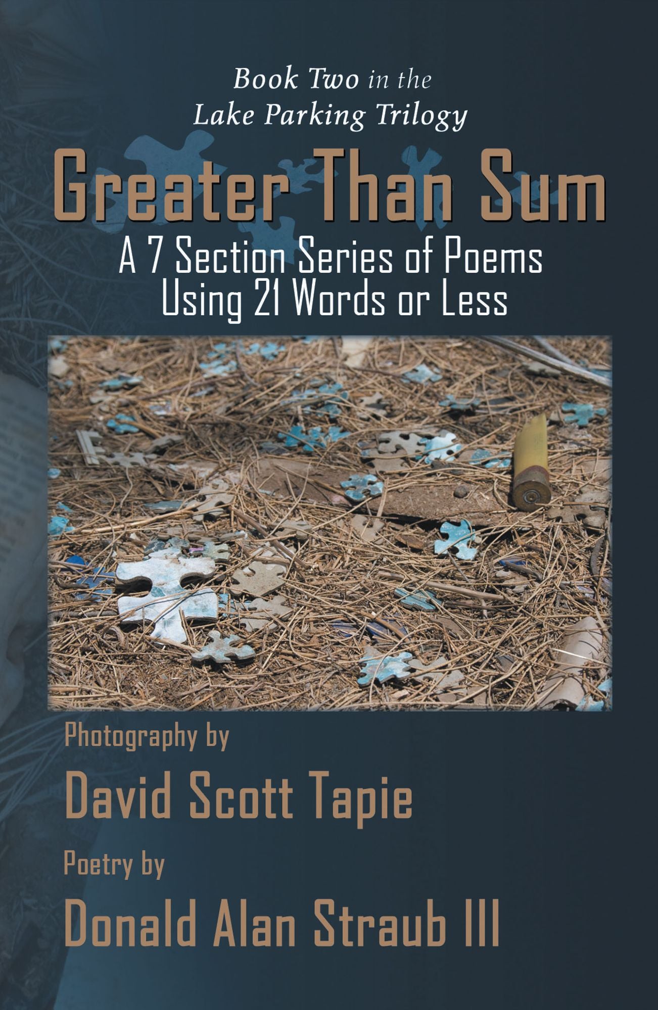 Greater Than Sum: A 7 Section Series of Poems Using 21 Words or Less