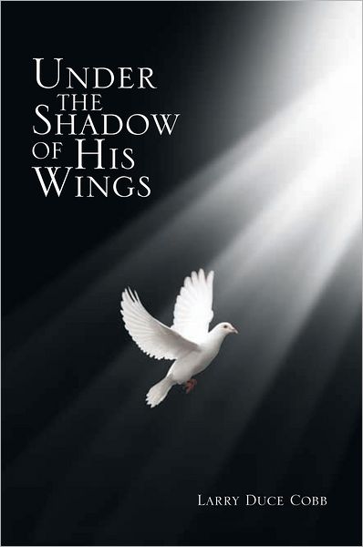 Under The Shadow Of His Wings