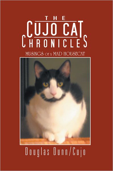 The Cujo Cat Chronicles: Musings of a Mad Housecat