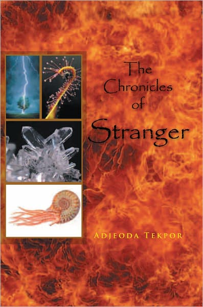 The Chronicles of Stranger