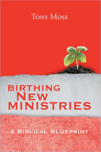 BIRTHING NEW MINISTRIES: A Biblical Blueprint