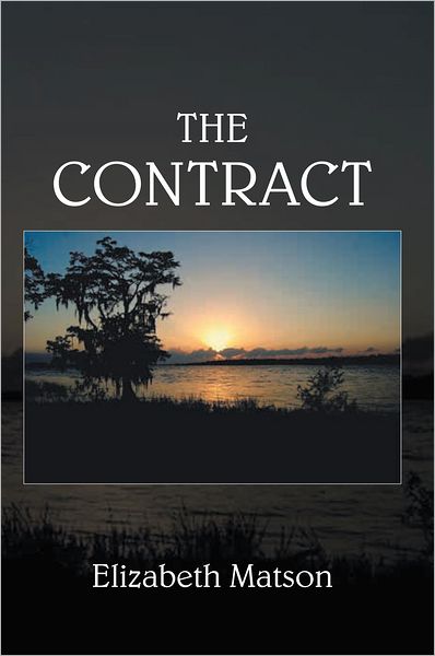 The Contract: Other Historical Fiction and Romance Novels
