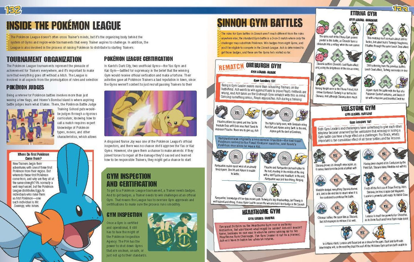 Pokemon Visual Companion