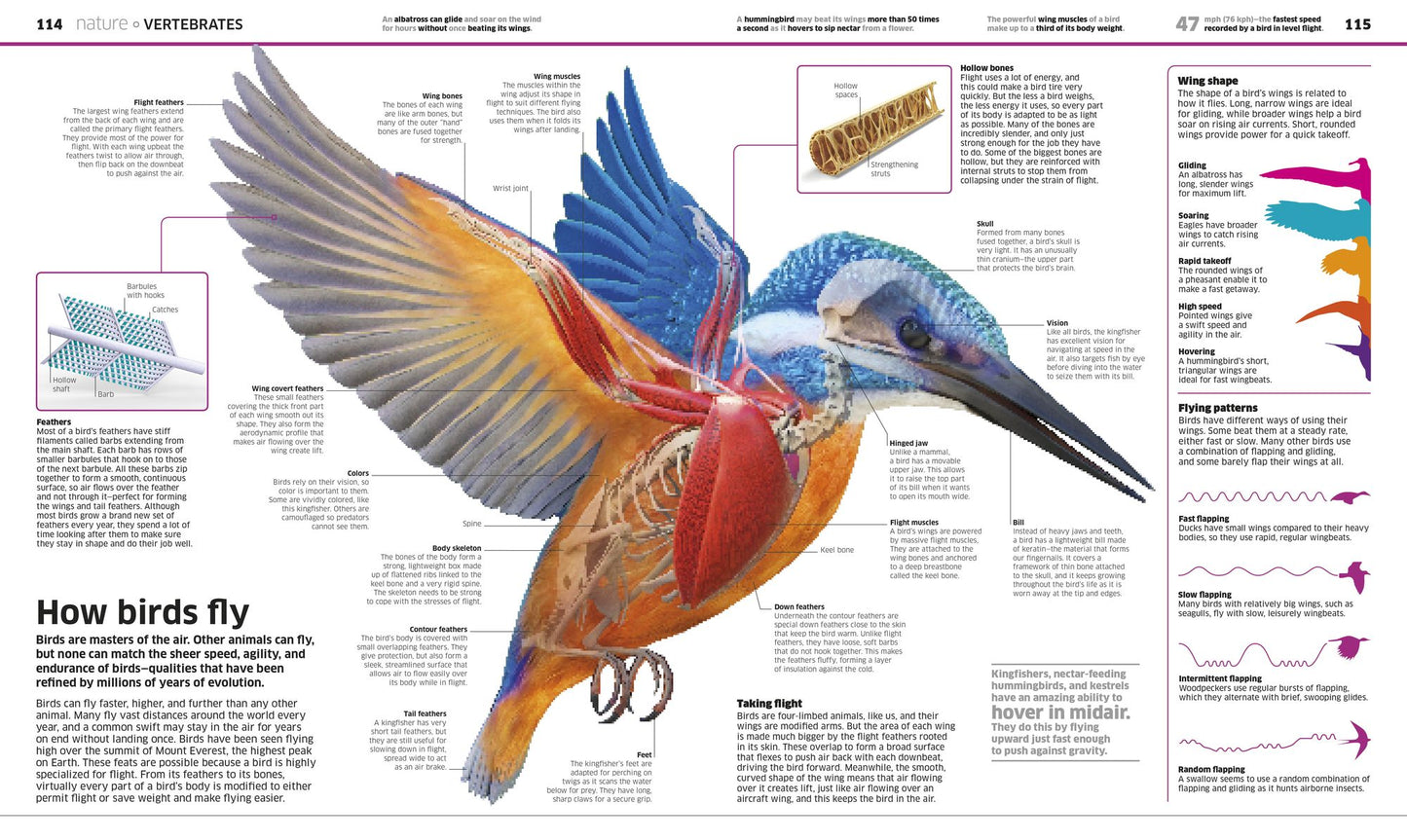 Knowledge Encyclopedia