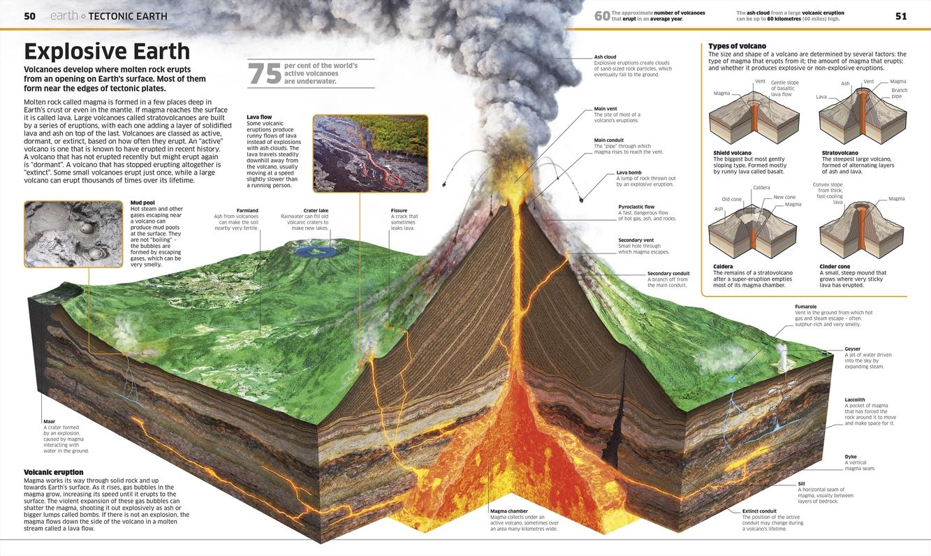 Knowledge Encyclopedia