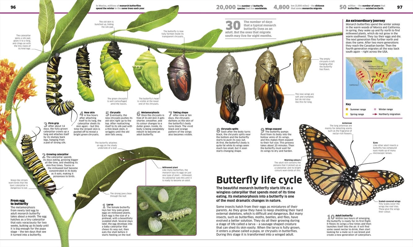 Knowledge Encyclopedia