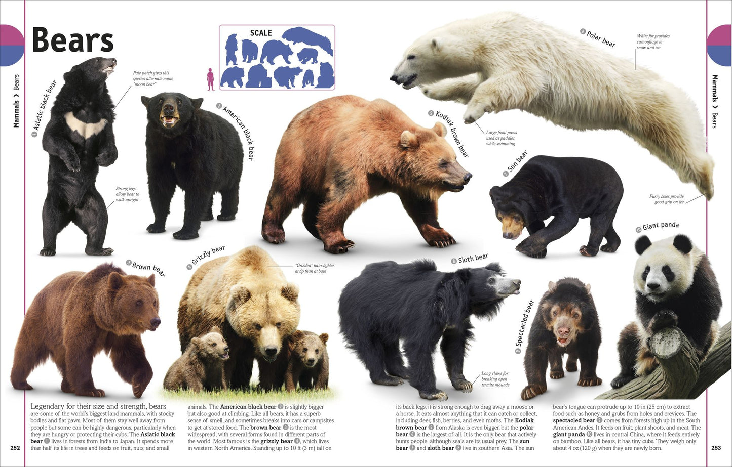 The Animal Book: A Visual Encyclopedia of Life on Earth