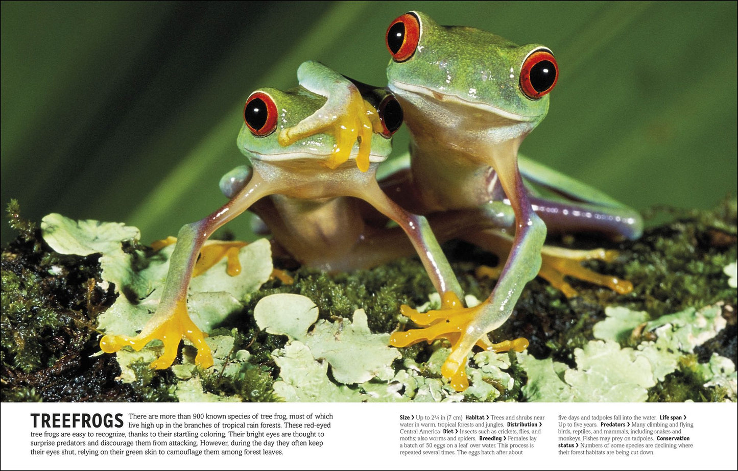 The Animal Book: A Visual Encyclopedia of Life on Earth