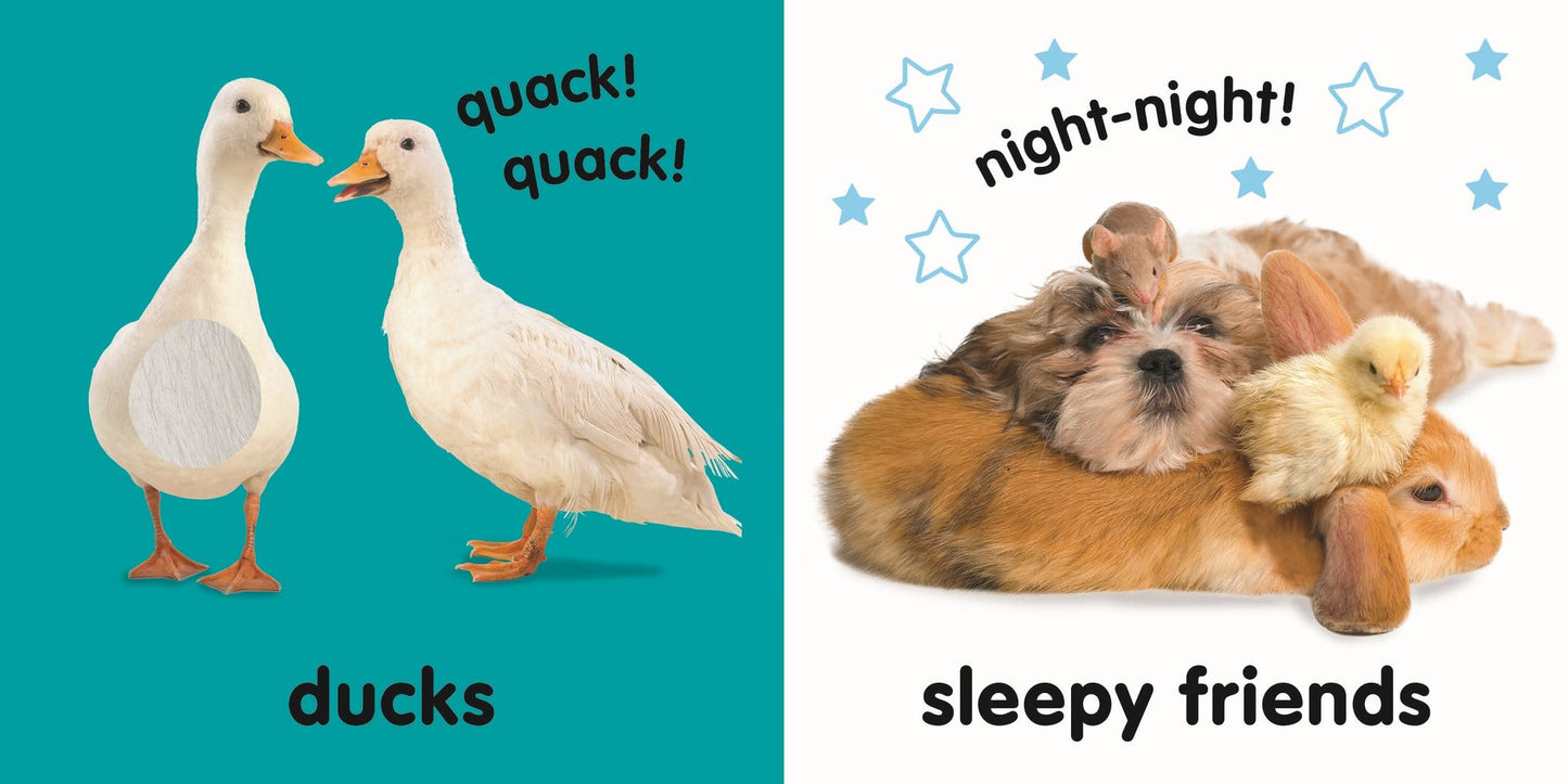 Baby Touch and Feel: Farm Friends