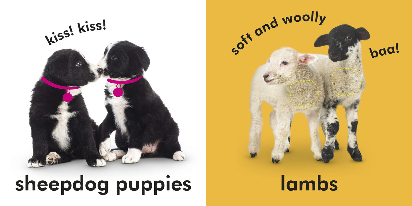 Baby Touch and Feel: Farm Friends