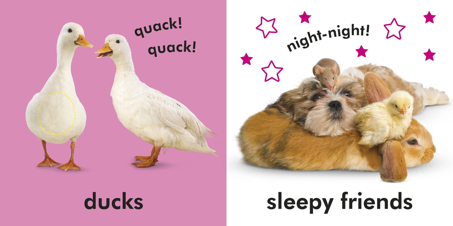 Baby Touch and Feel: Farm Friends