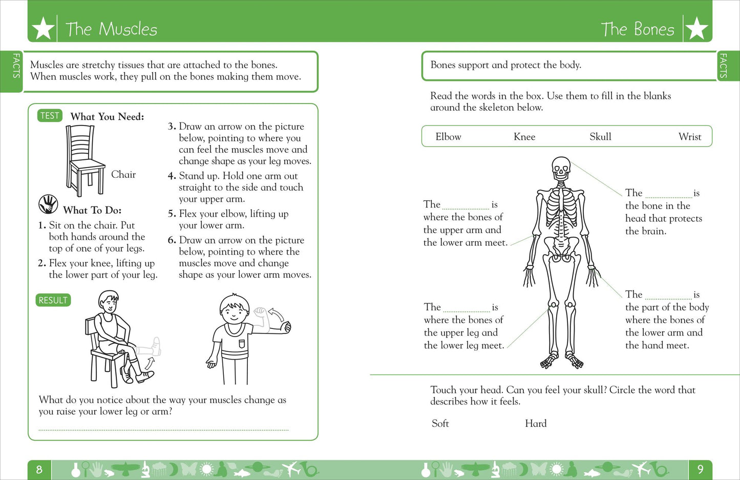 DK Workbooks: Science, First Grade: Learn and Explore
